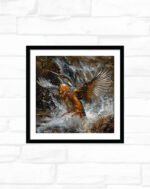 Splash of the Kingfisher