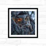 Ember‑Eyed Night Guardian