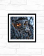 Ember‑Eyed Night Guardian