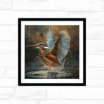 Teal Splash Kingfisher