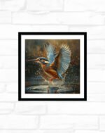 Teal Splash Kingfisher