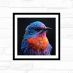 Electric Aurora Songbird