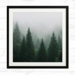 Whispers in the Pines