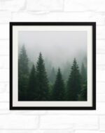 Whispers in the Pines